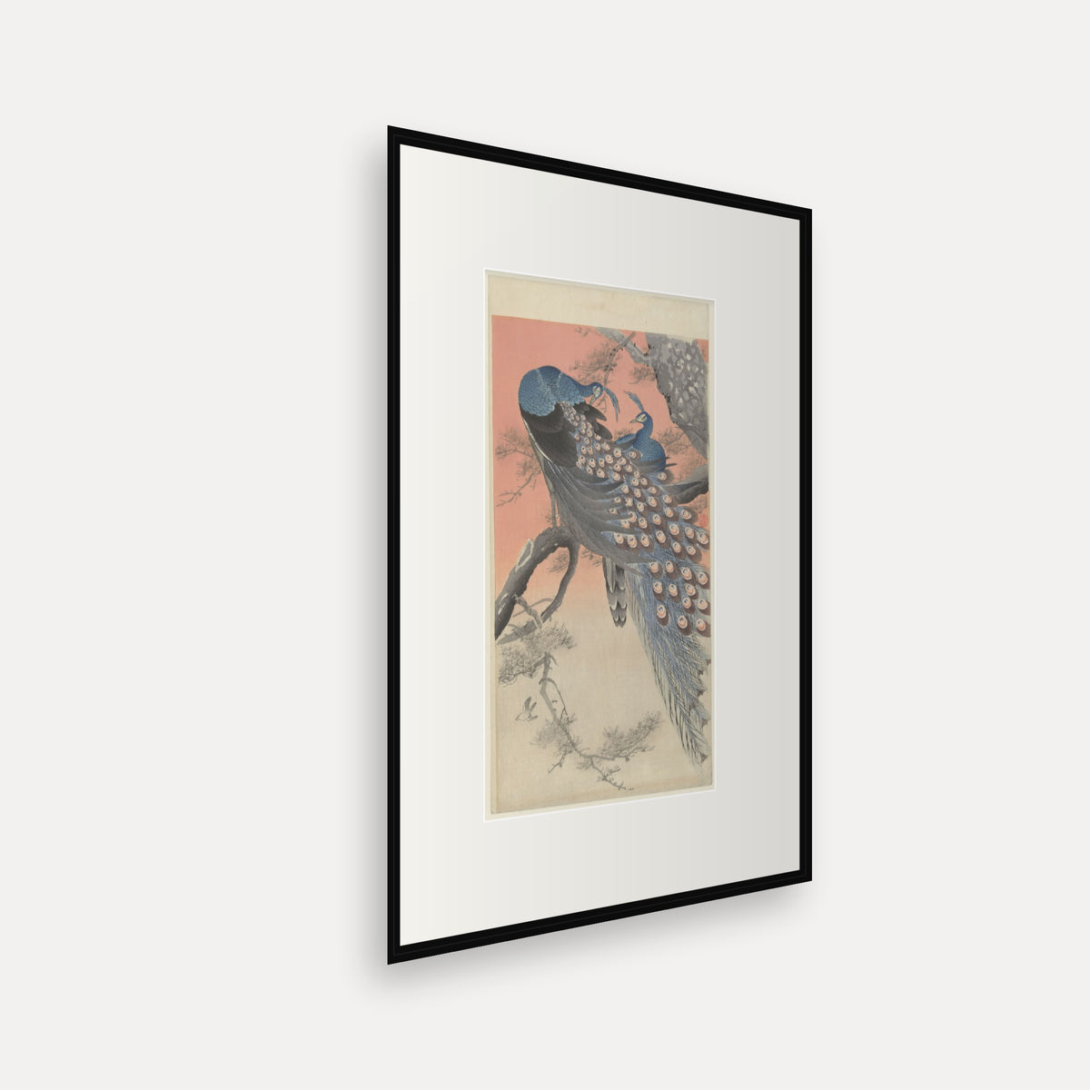 Two Peacocks on a Branch · Ohara Koson · Japanese Woodblock Print