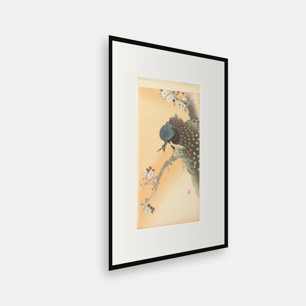 Peacock in a Cherry Tree · Ohara Koson · Japanese Woodblock Print