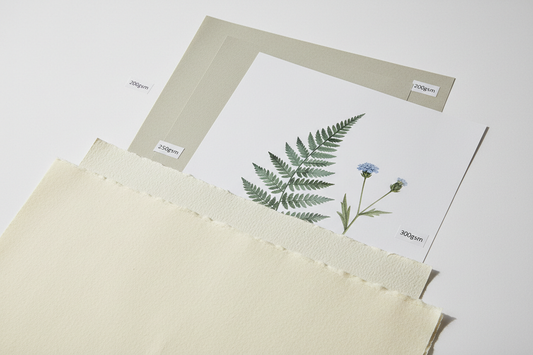 Close-up flat lay of fine art paper sheets in different weights and textures — smooth matte, watercolour, and cotton rag — with a botanical art print and GSM weight labels on a white surface