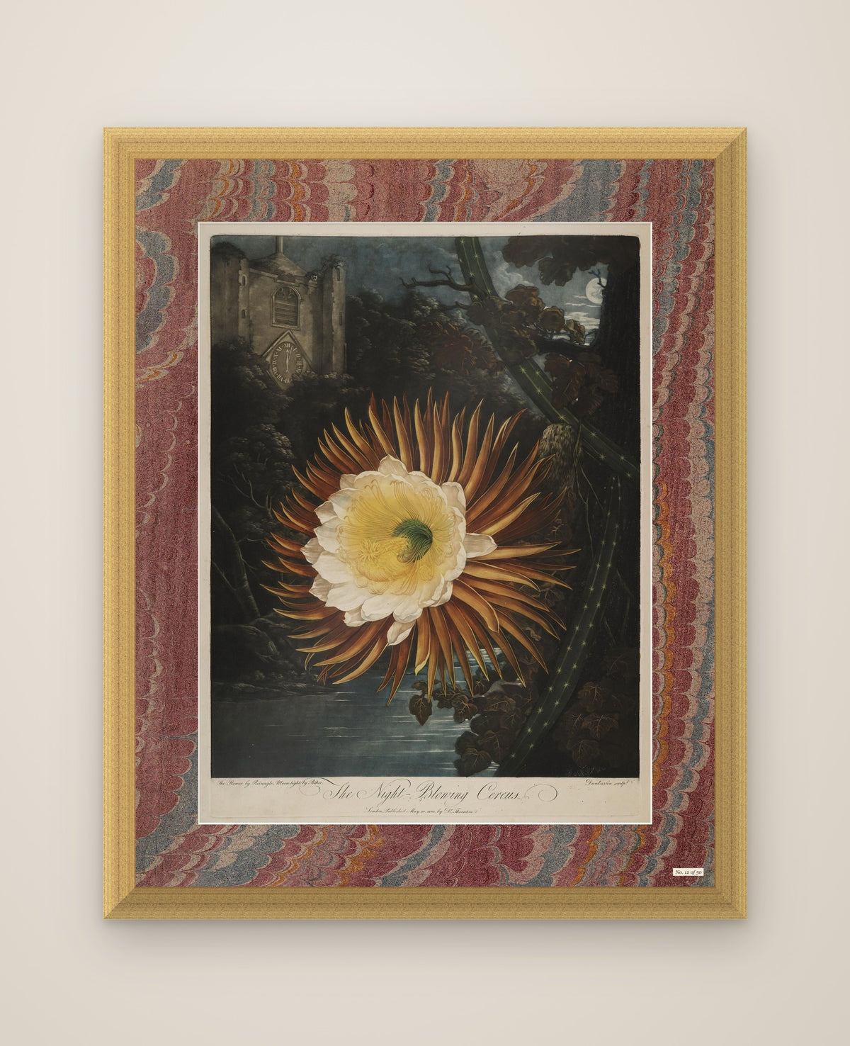 The Night-Blowing Cereus limited edition, front view, in its marbled mount and antique gold frame