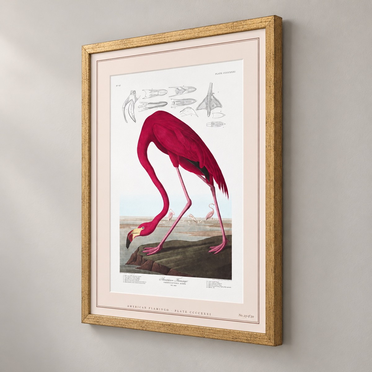 flamingo limited edition — side view