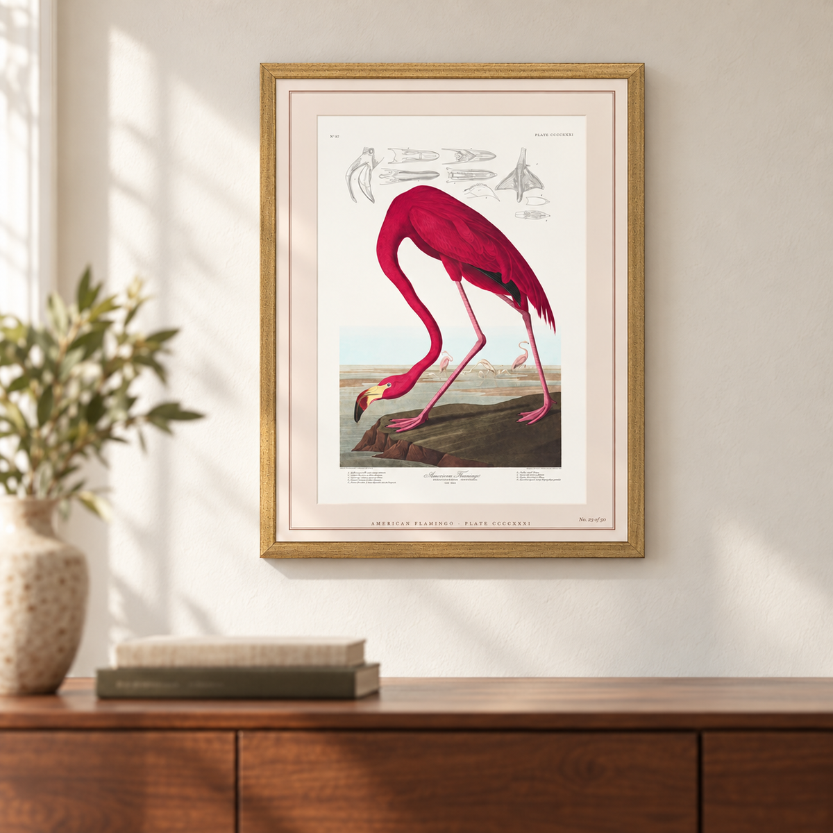 flamingo limited edition — on the wall