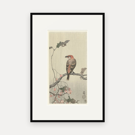 Crossbill on a Branch · Ohara Koson · Japanese Woodblock Print