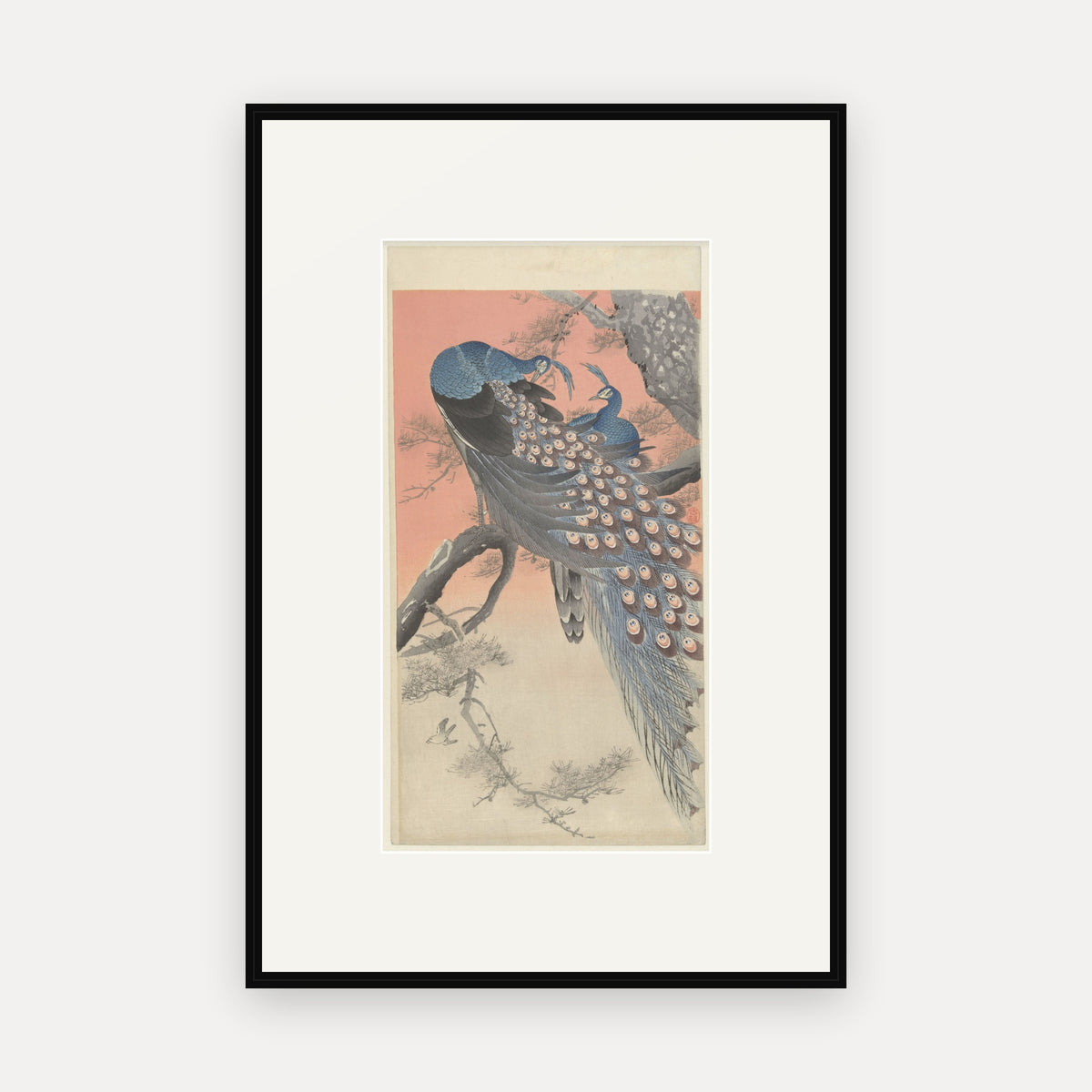 Two Peacocks on a Branch · Ohara Koson · Japanese Woodblock Print