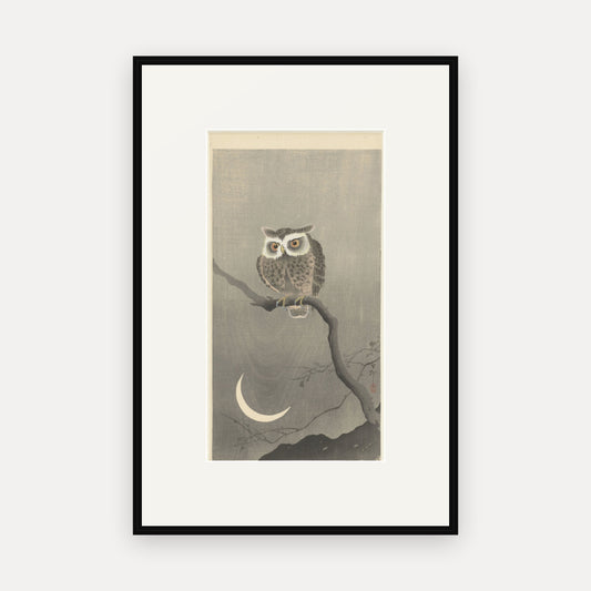 Owl on a Bare Branch · Ohara Koson · Japanese Woodblock Print