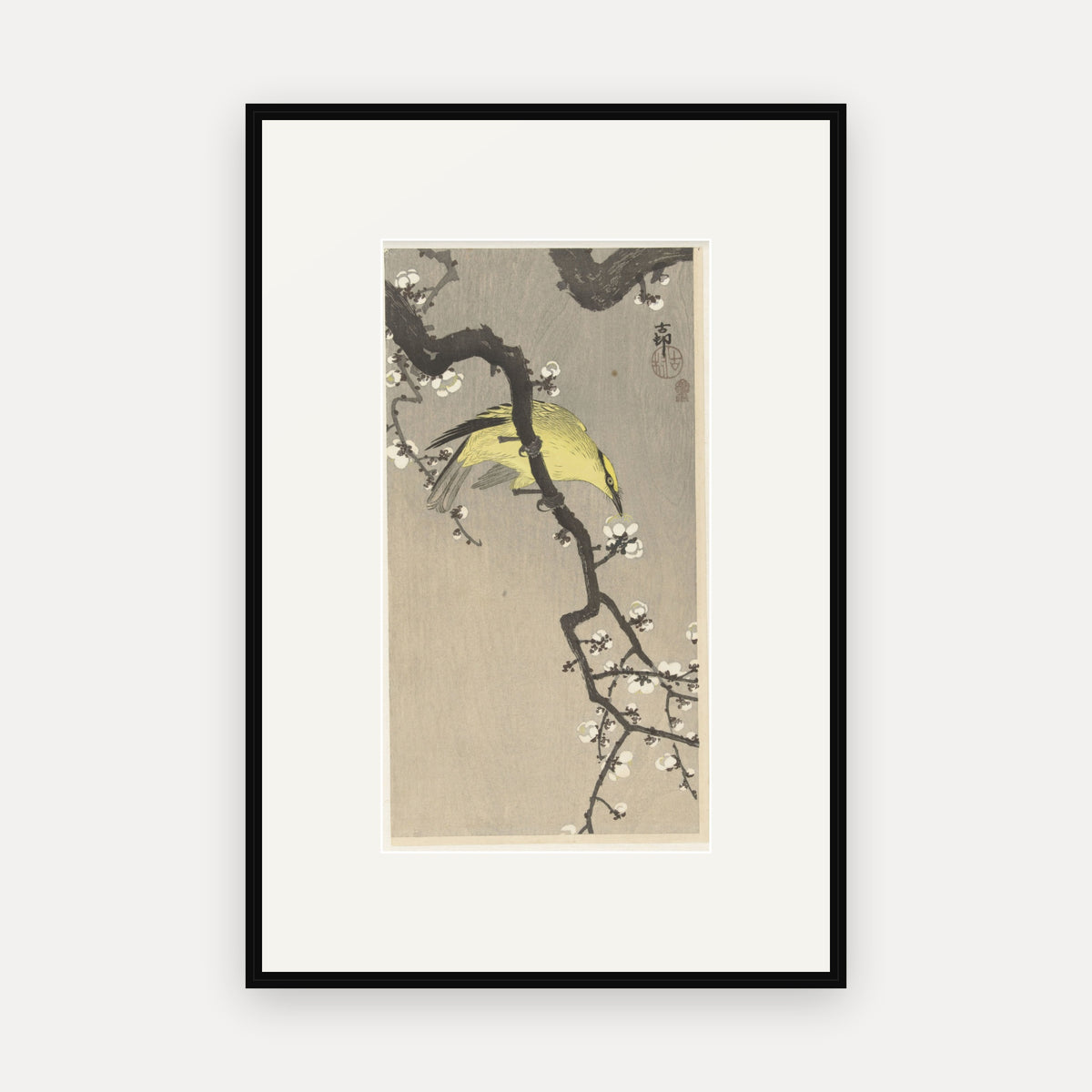 Oriole on a Plum Branch · Ohara Koson · Japanese Woodblock Print