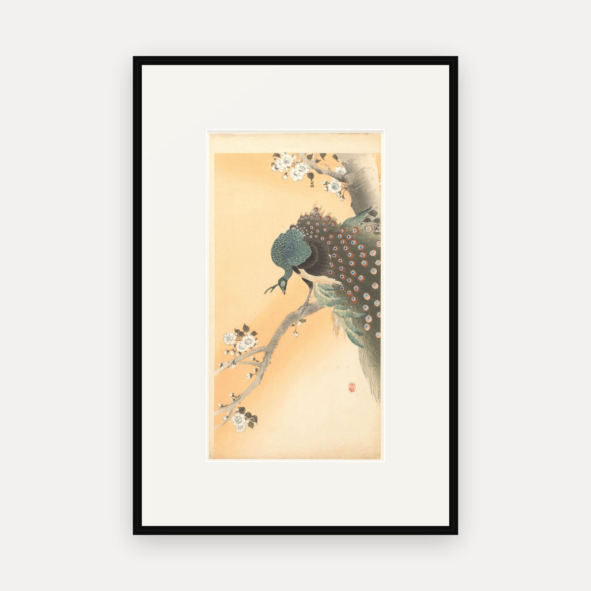 Peacock in a Cherry Tree · Ohara Koson · Japanese Woodblock Print