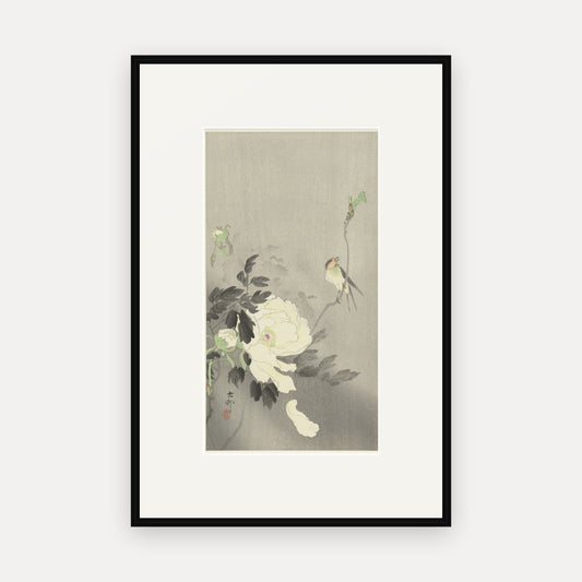 Swallow and Peony · Ohara Koson · Japanese Woodblock Print