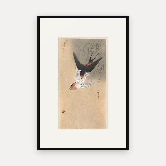 Two Swallows Diving · Ohara Koson · Japanese Woodblock Print