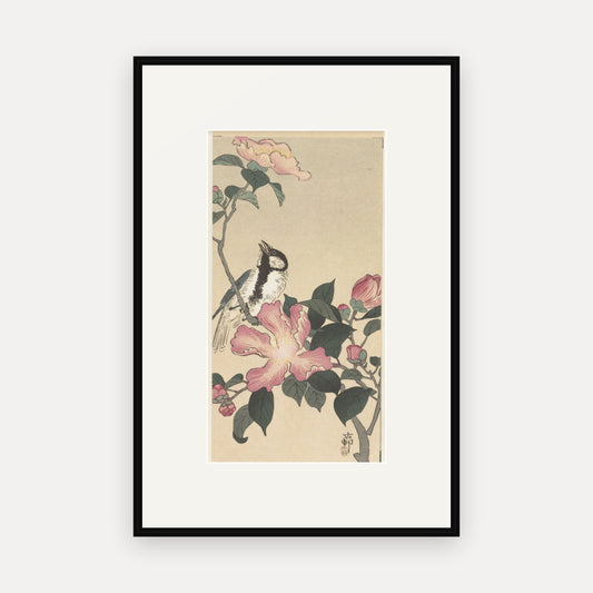 Great Tit and Camellia · Ohara Koson · Japanese Woodblock Print