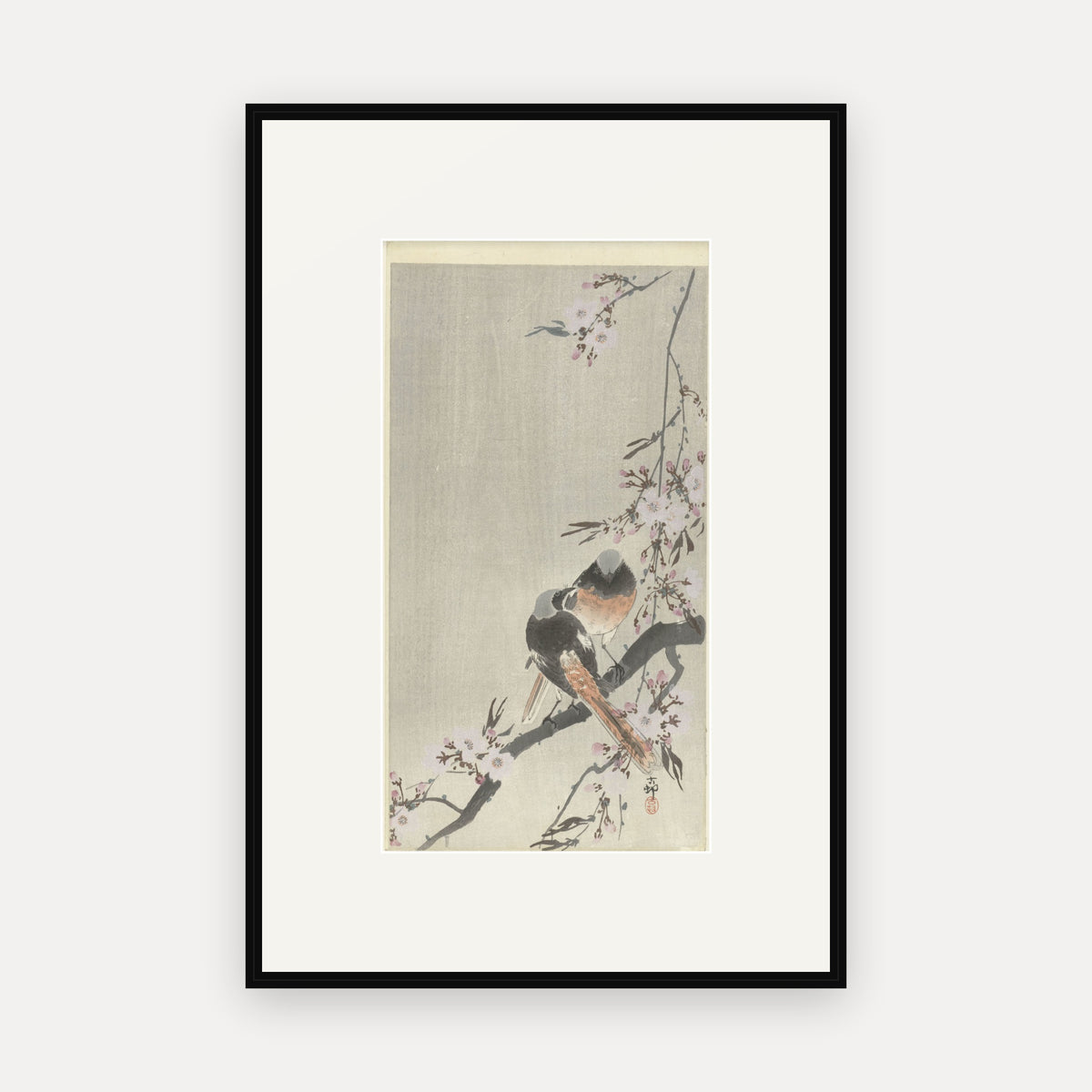 Two Redstarts and Cherry Blossom · Ohara Koson · Japanese Woodblock Print