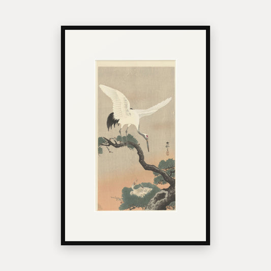 Crane on a Pine Branch · Ohara Koson · Japanese Woodblock Print