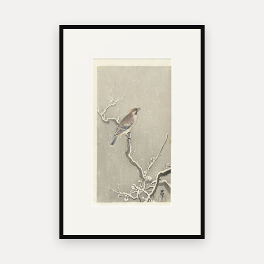 Waxwing on a Snowy Branch · Ohara Koson · Japanese Woodblock Print