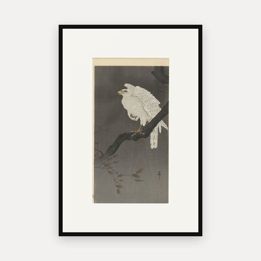 Eagle on a Branch · Ohara Koson · Japanese Woodblock Print
