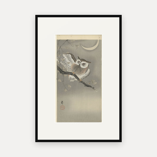 Owl in a Ginkgo Tree · Ohara Koson · Japanese Woodblock Print