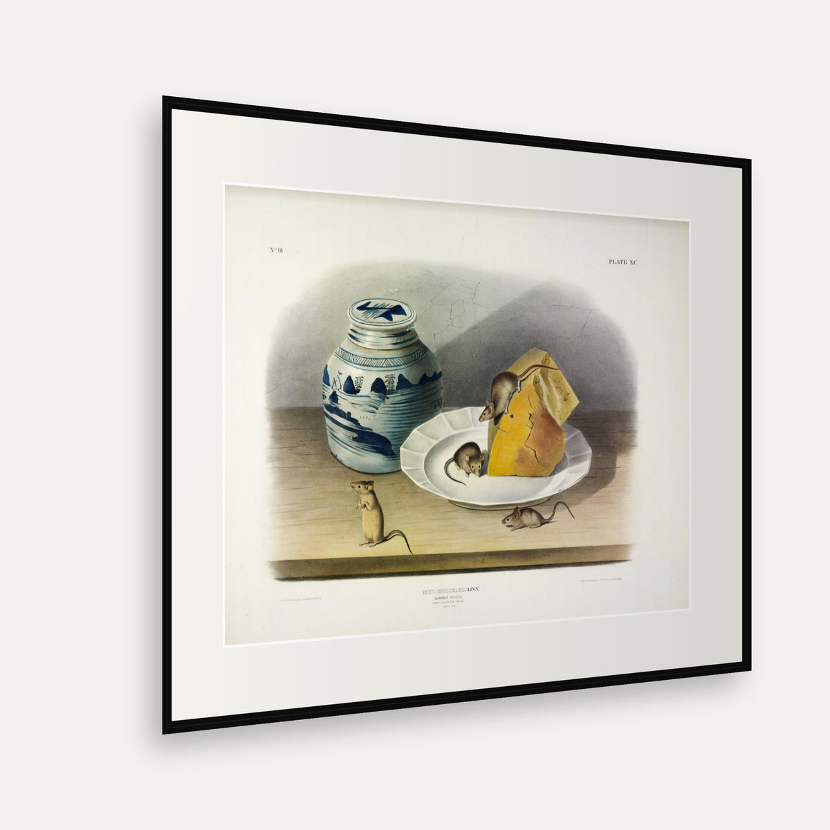 Common Mouse · Plate 90 · Audubon - Quadrupeds of North America Print framed print shown at an angle