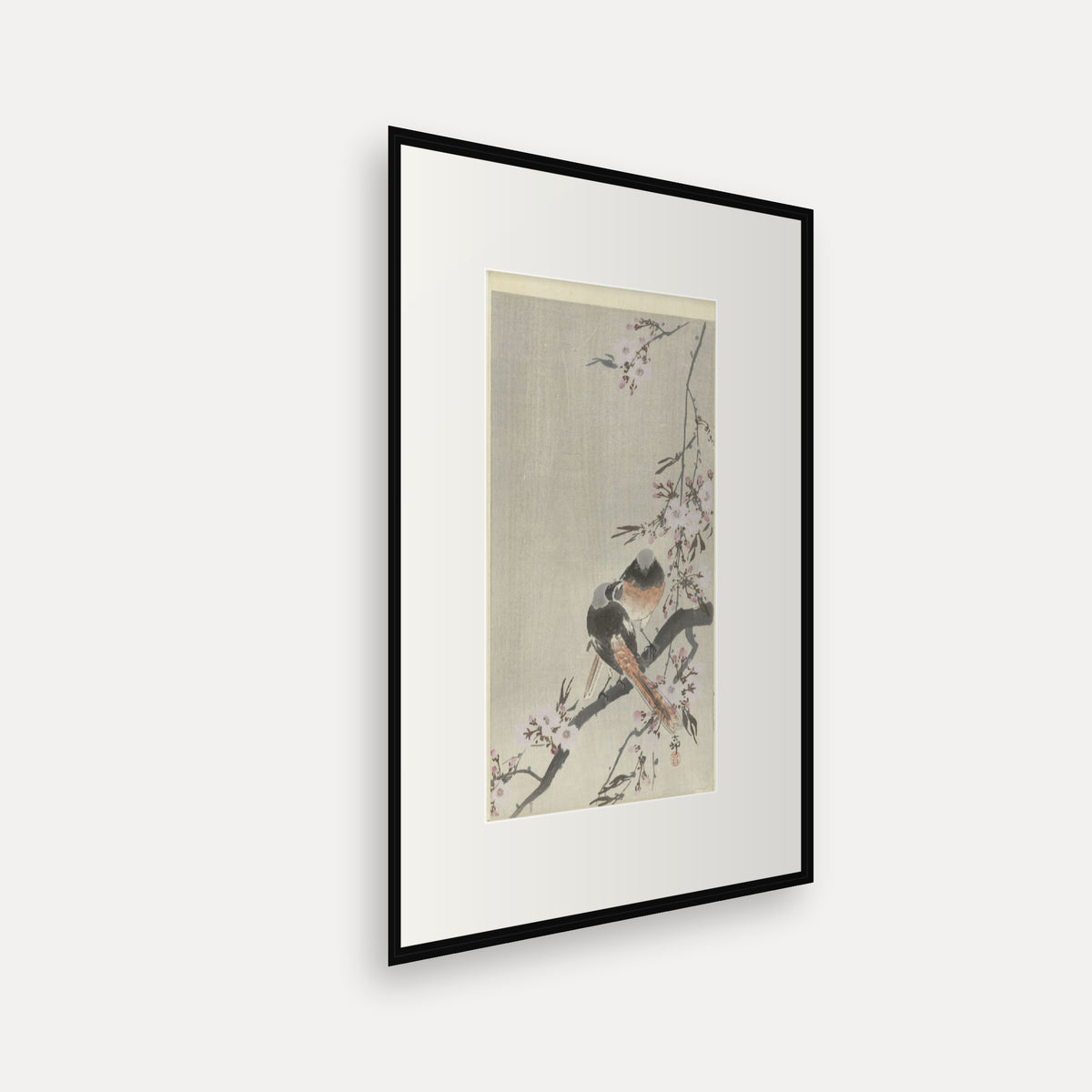 Two Redstarts and Cherry Blossom · Ohara Koson · Japanese Woodblock Print